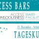 Access Bars Tageskurs / Seminar /...